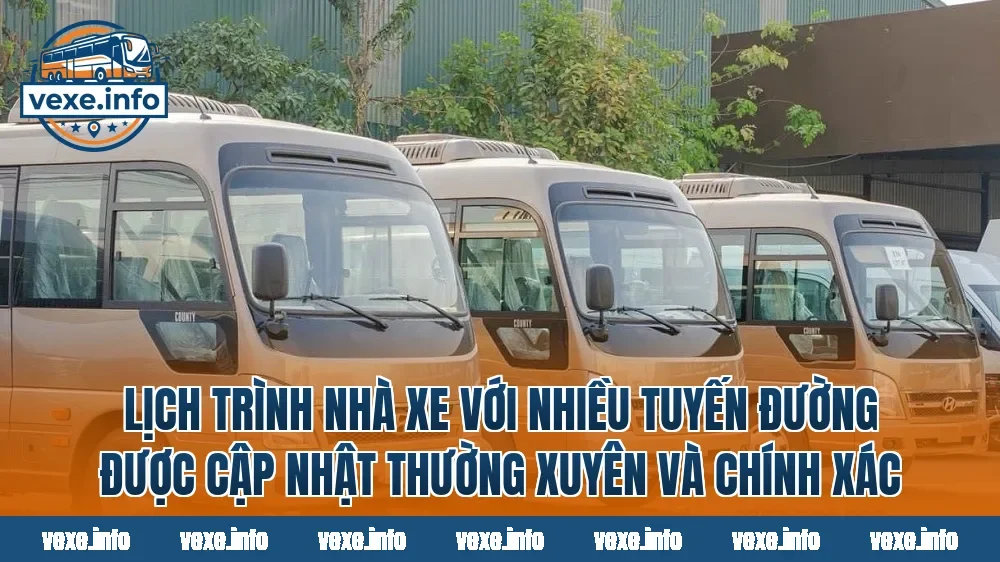 Lịch trình nhà xe với nhiều tuyến đường được cập nhật thường xuyên và chính xác