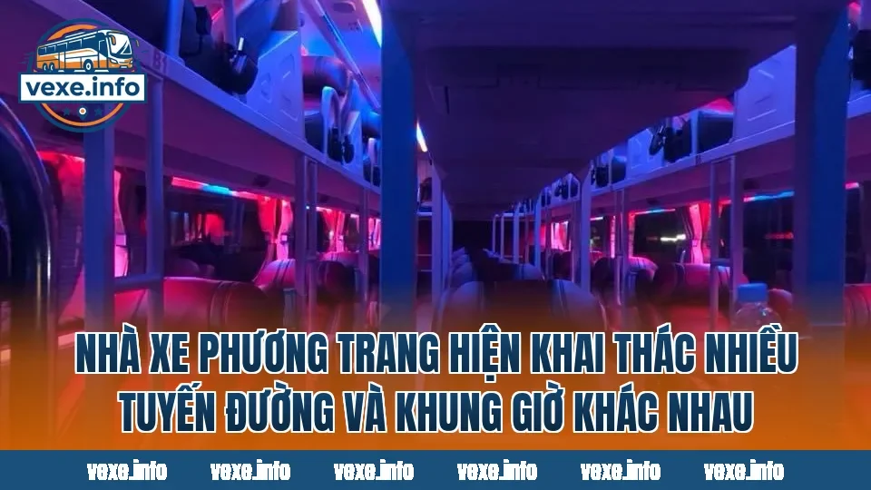 Nhà xe Phương Trang hiện khai thác nhiều tuyến đường và khung giờ khác nhau